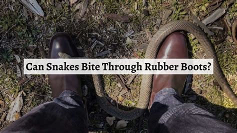 Can a Snake Bite Through Rubber Boots? And Why Do Snakes Dream of Electric Sheep?